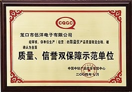 質(zhì)量、信譽(yù)雙保障示范單位